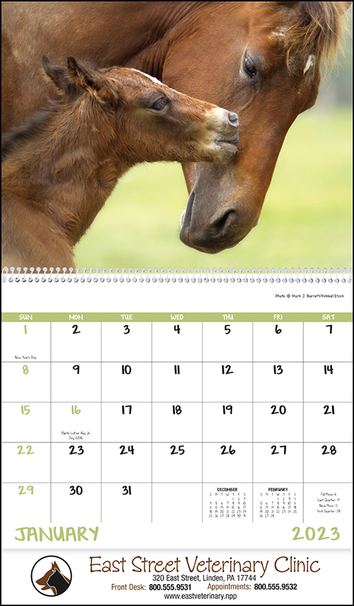 Baby Farm Animals 2023 Wall Calendar